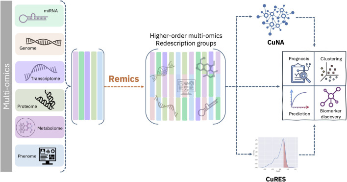 FIGURE 1