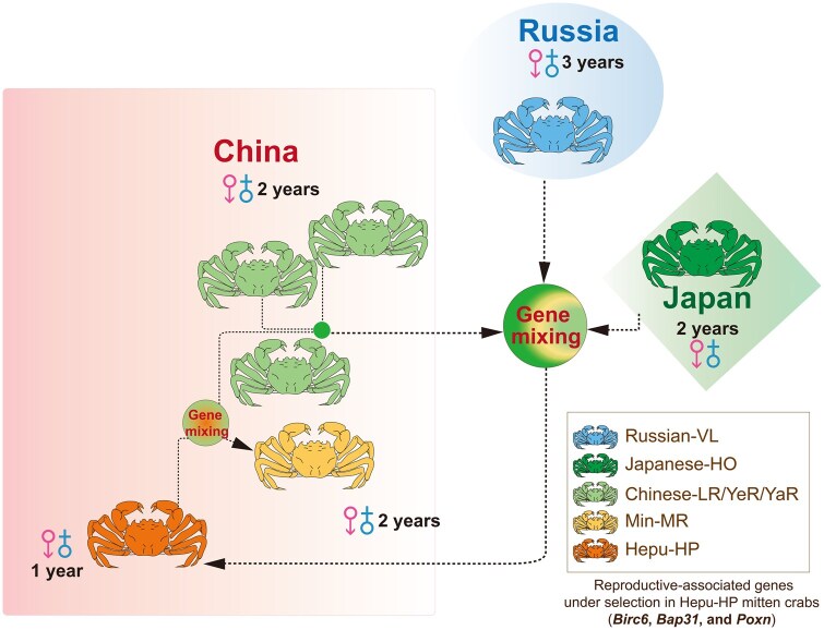 Figure 6