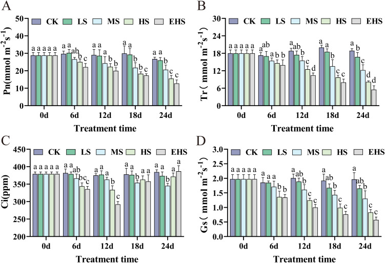 Figure 2
