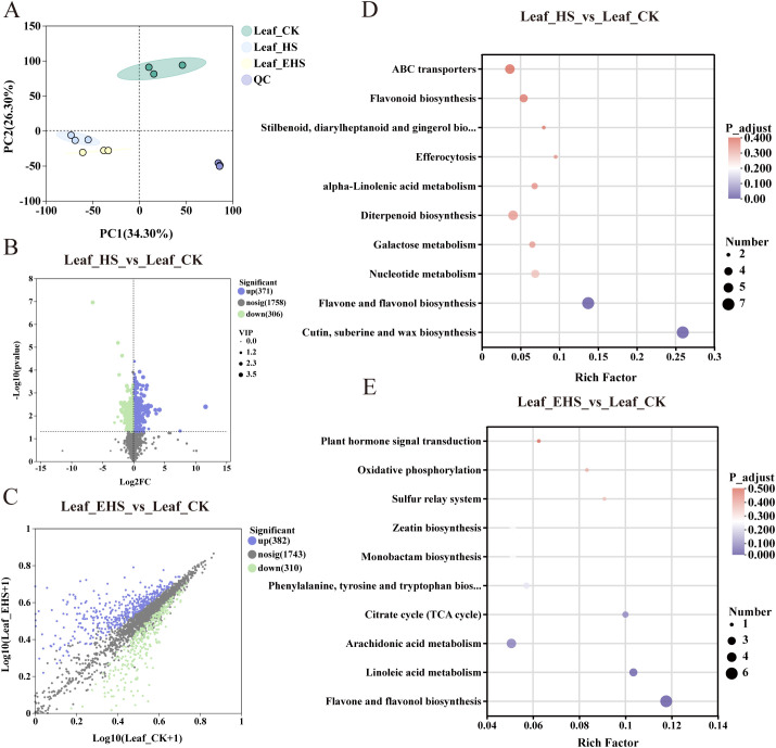Figure 4