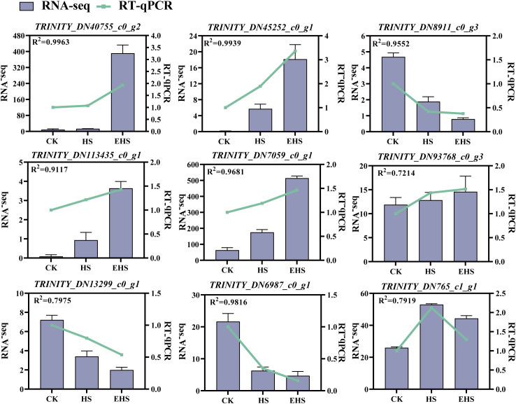 Figure 10