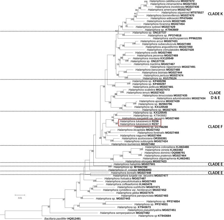 Figure 2