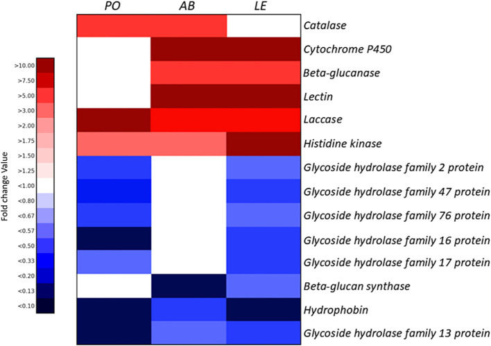 Figure 4