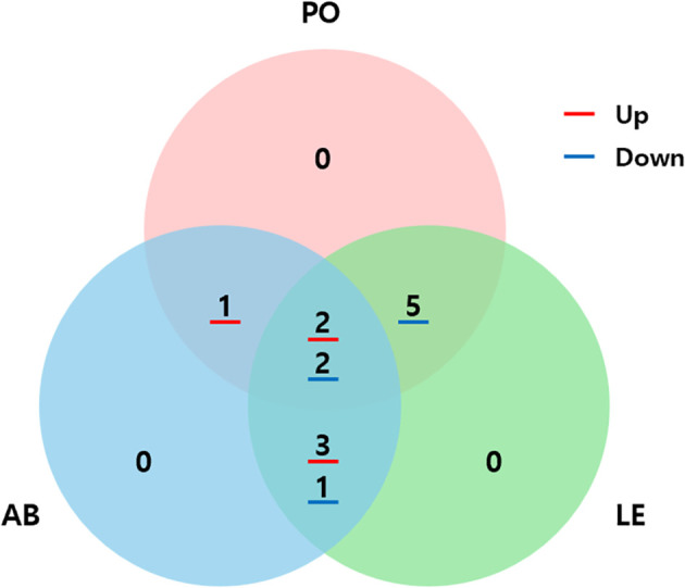 Figure 5
