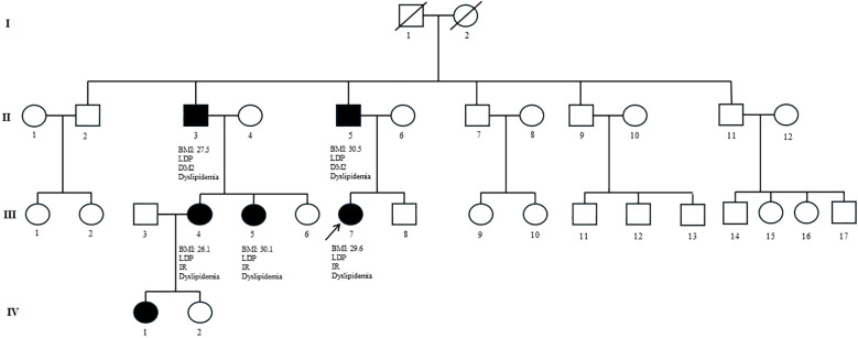 Figure 2