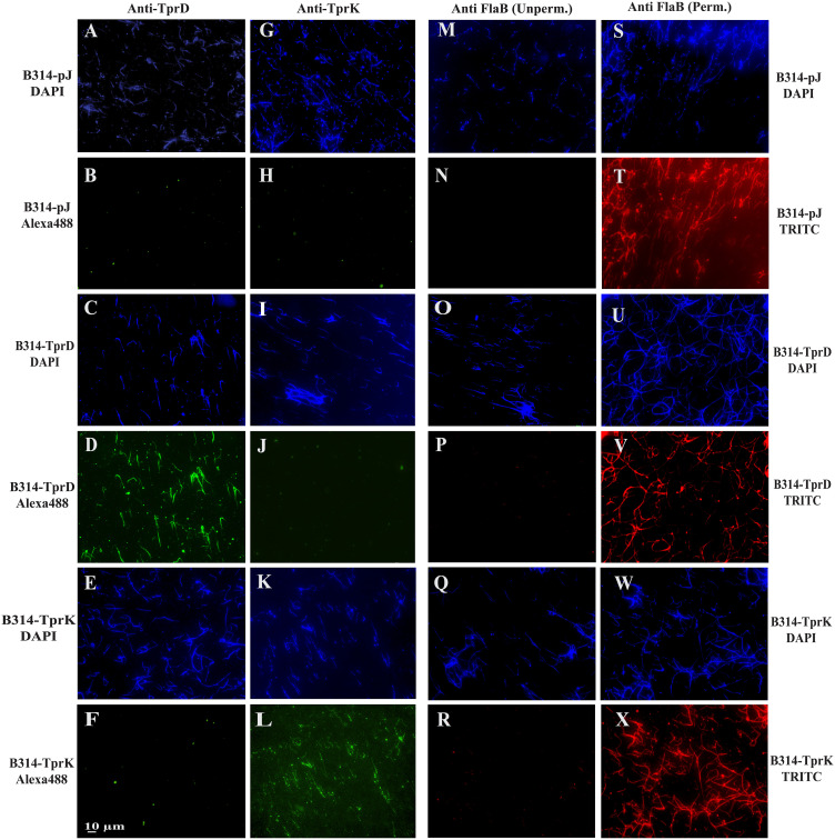 Figure 2