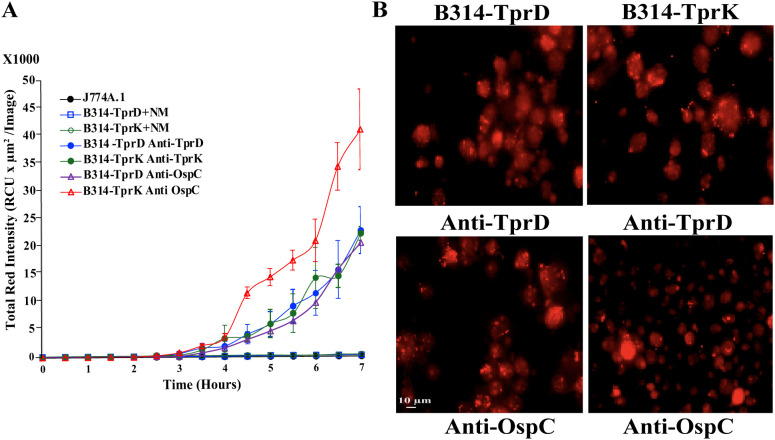 Figure 6