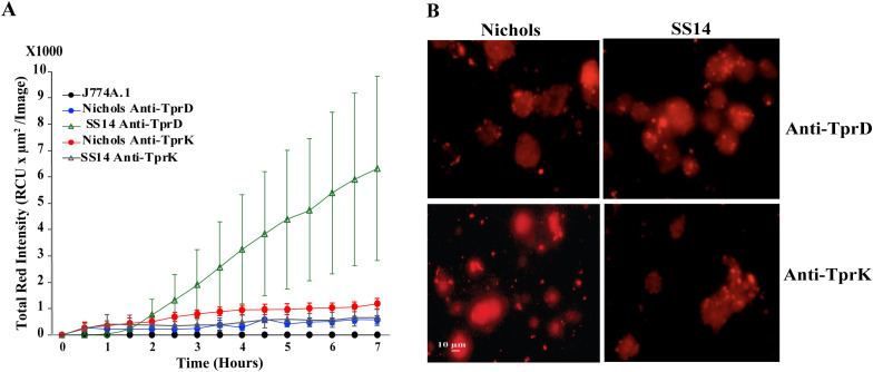 Figure 7