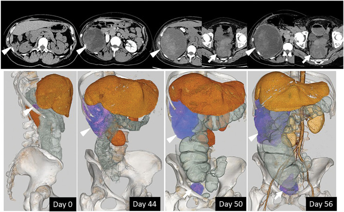 Fig. 3