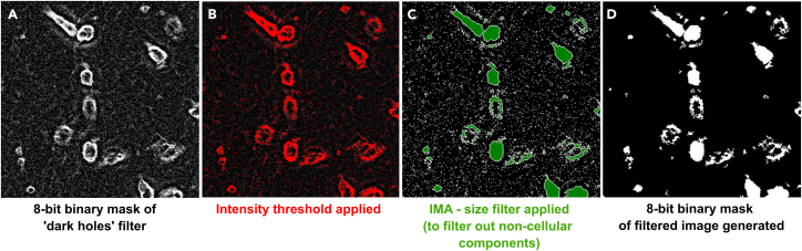 Figure 10