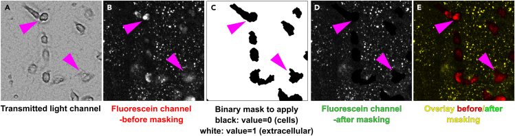 Figure 12
