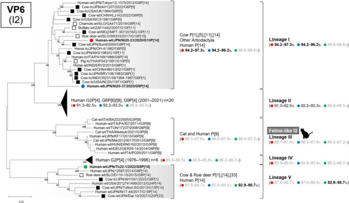 FIGURE 4