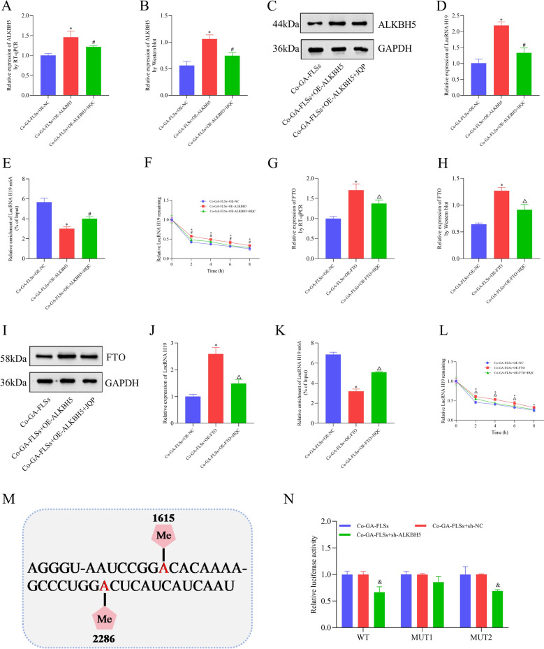 Figure 13