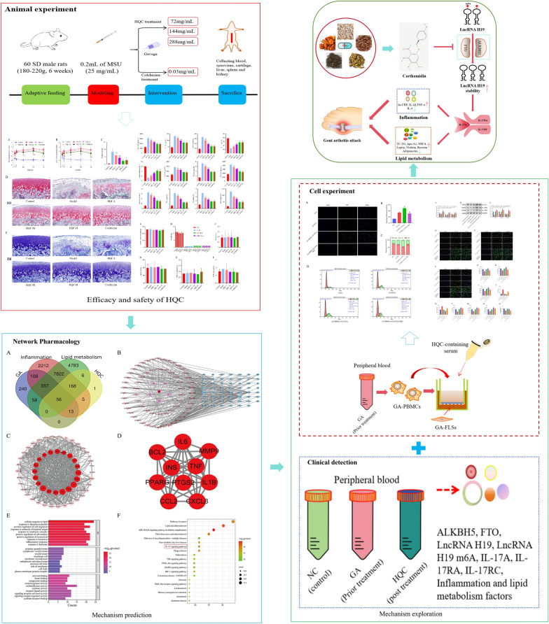 Figure 17