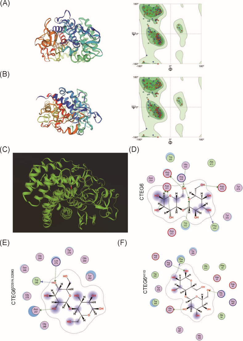 Fig 6