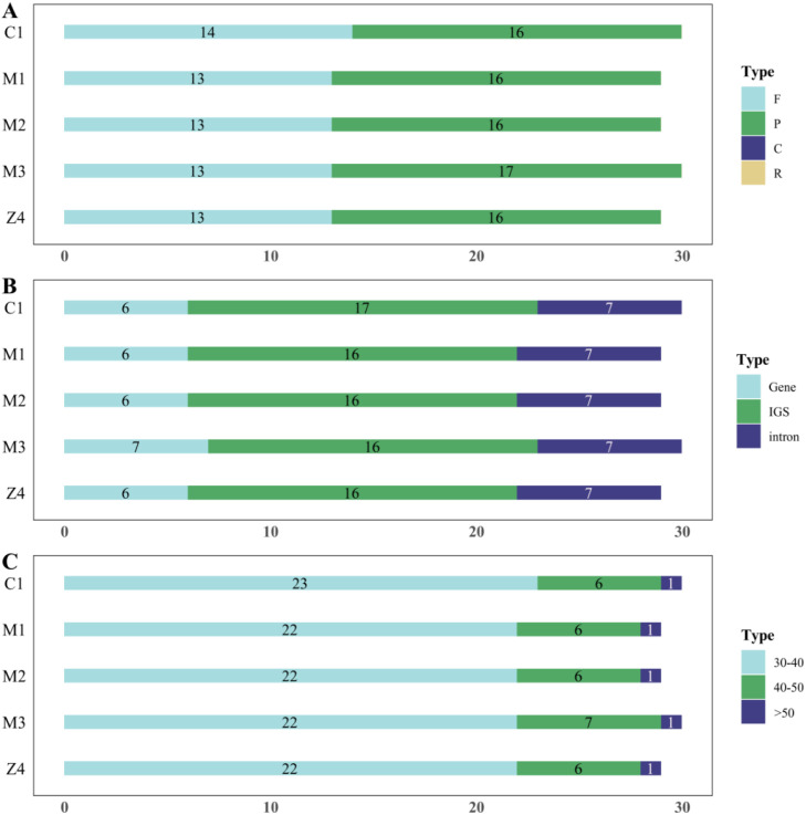 Figure 3