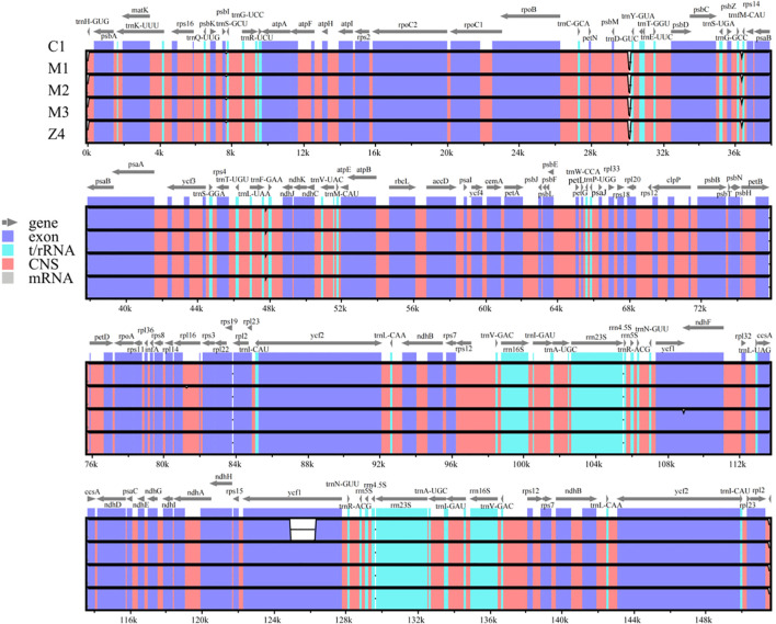 Figure 6