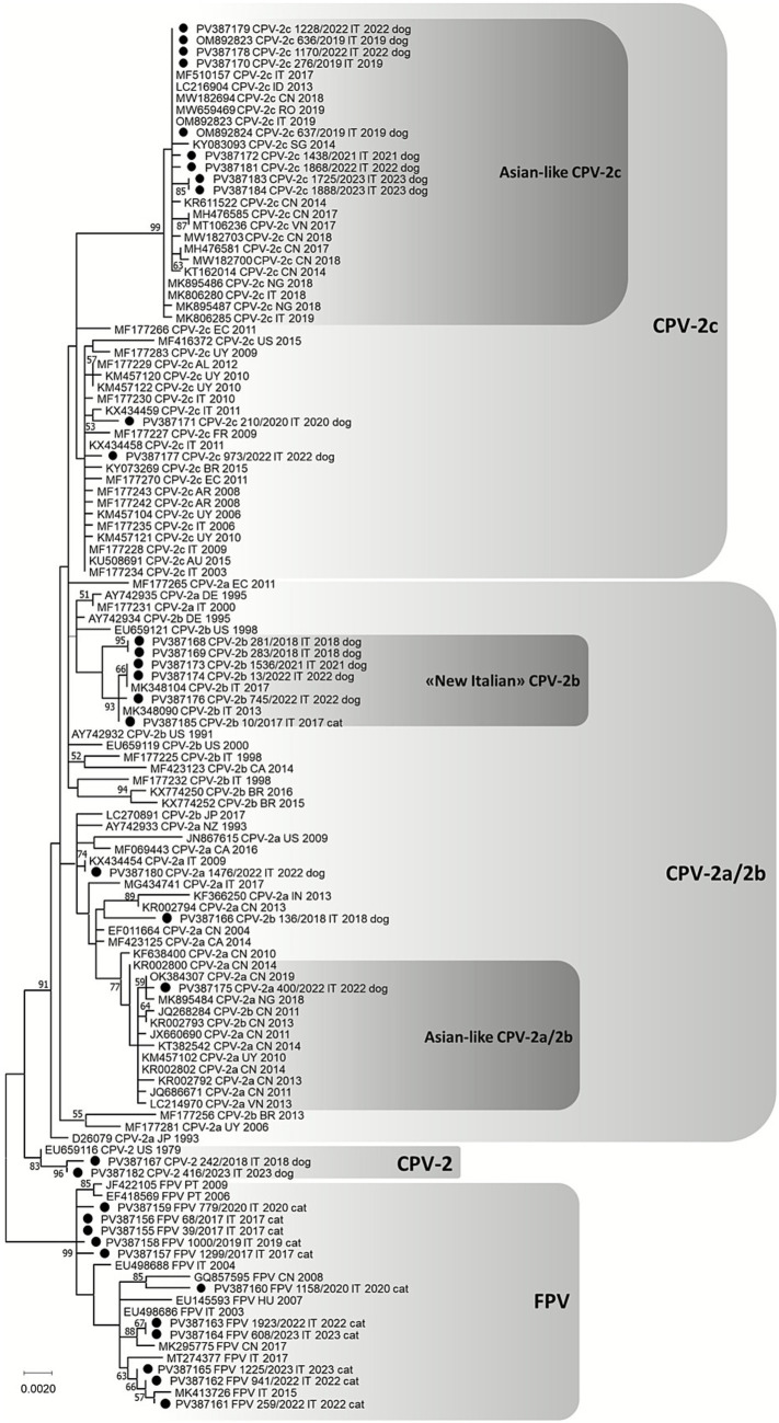 Figure 7