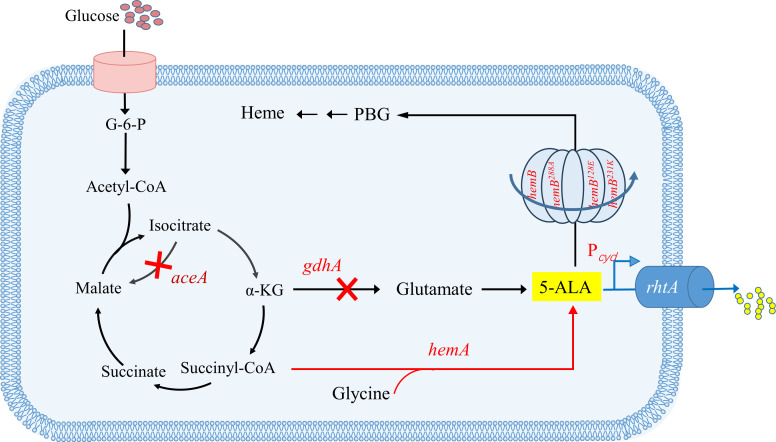 Fig 1