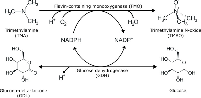 Fig 1