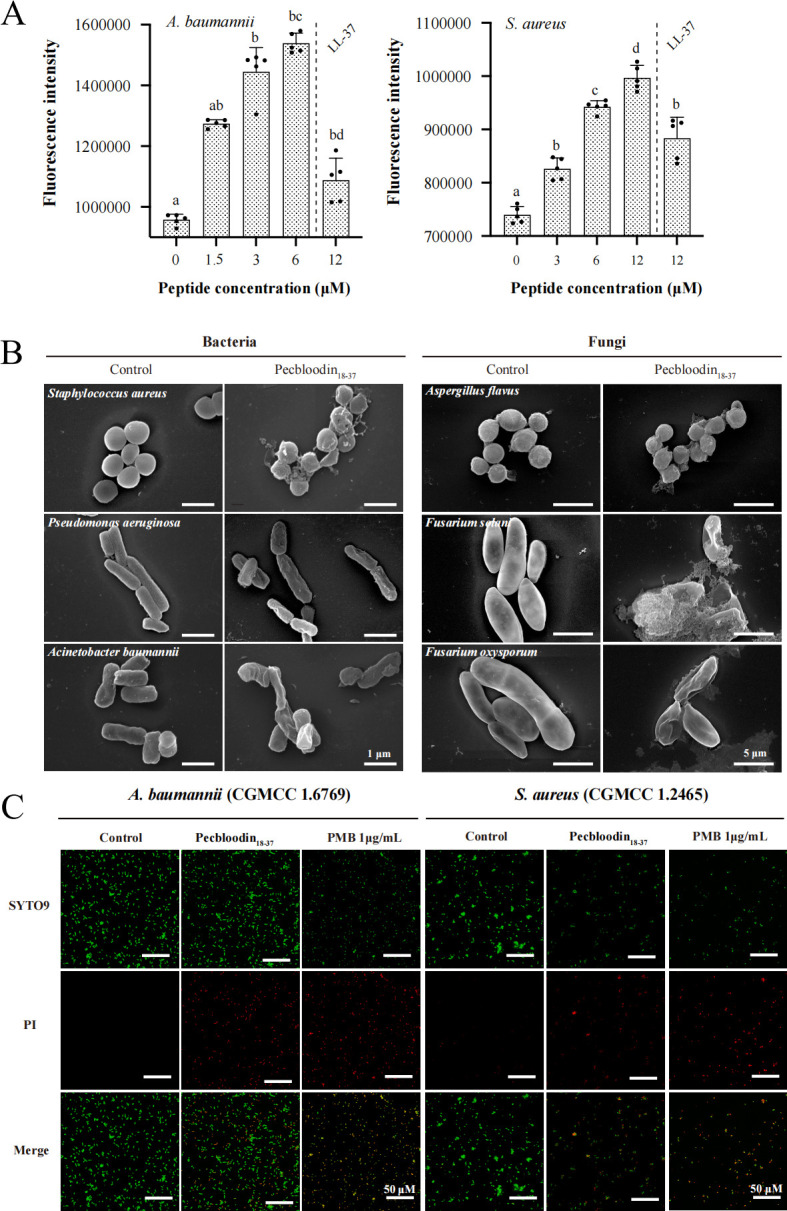 Fig 4