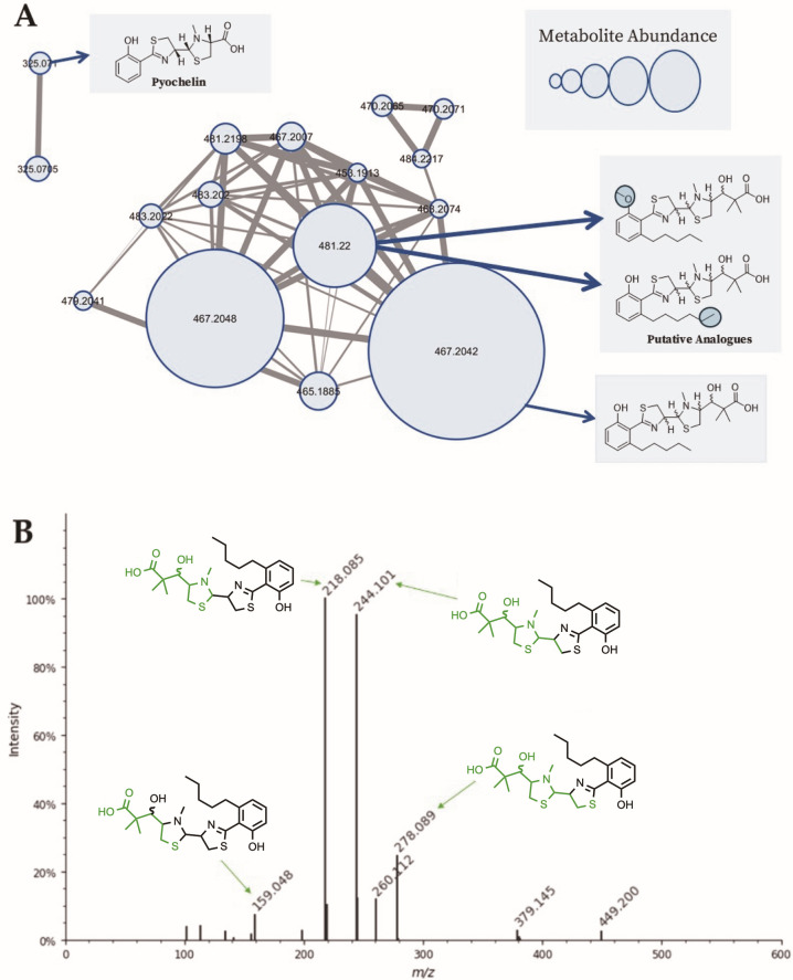 Fig 5