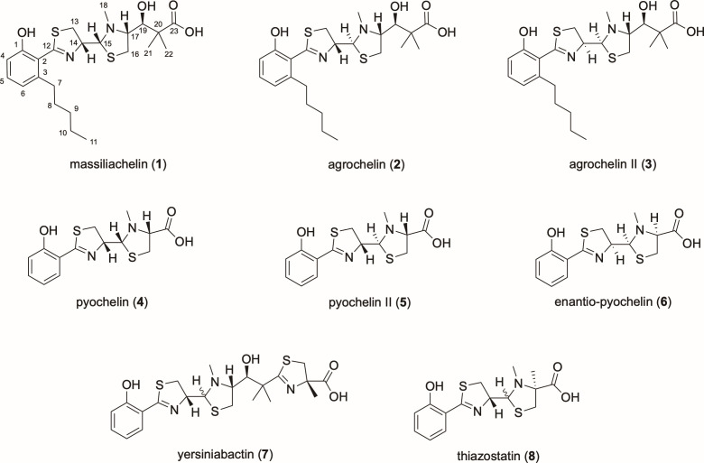 Fig 6