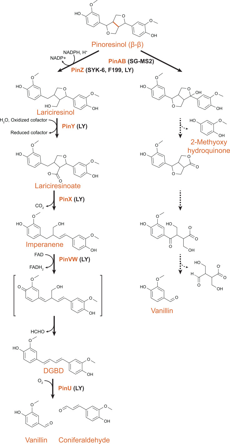 Fig 4