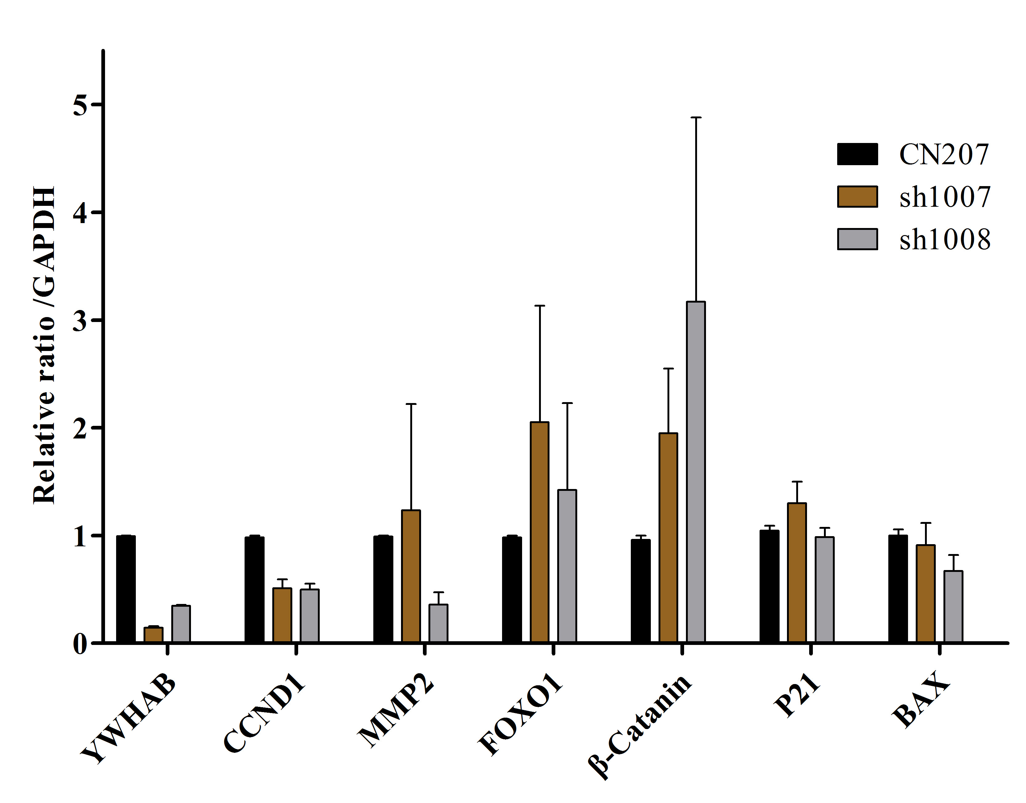 Figure 5