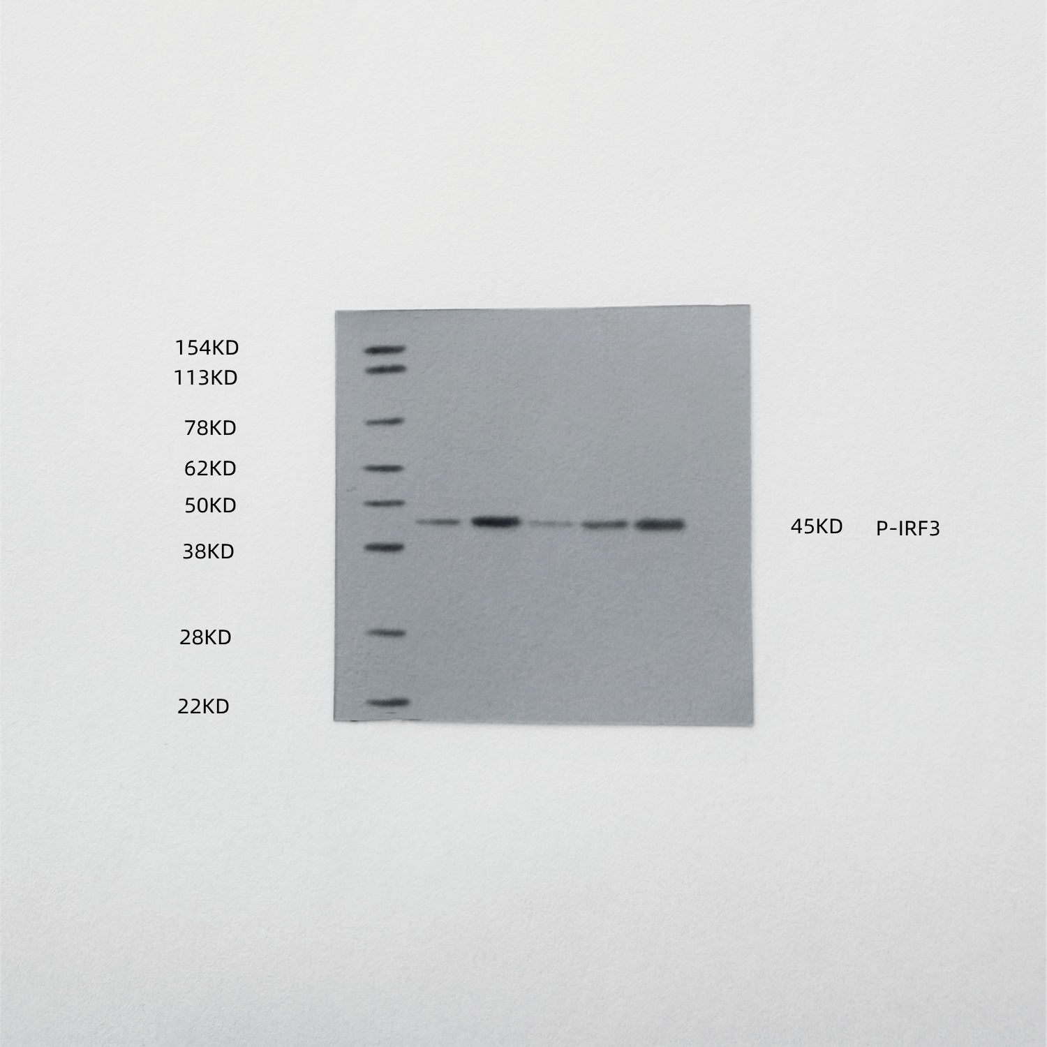 Figure 13