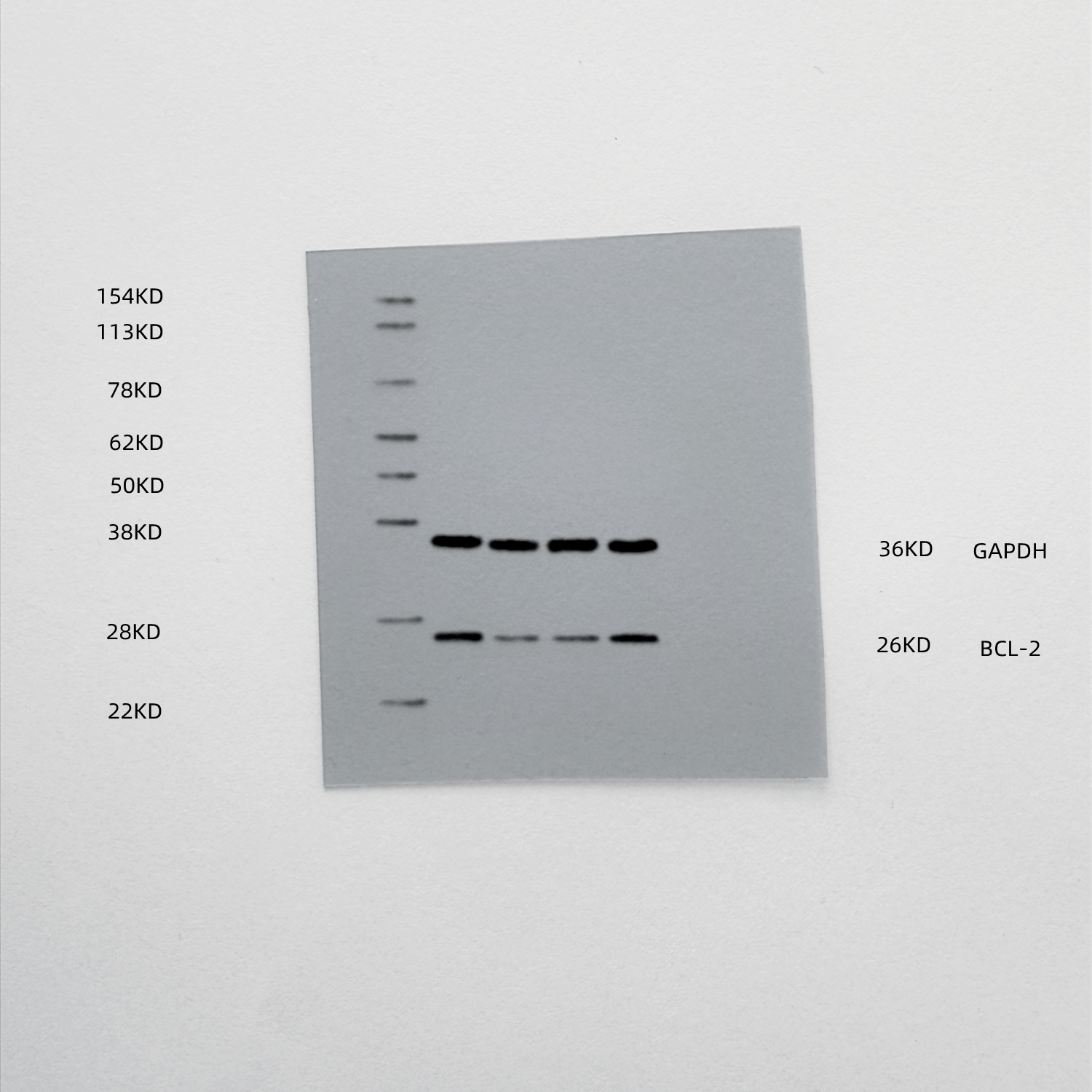 Figure 17