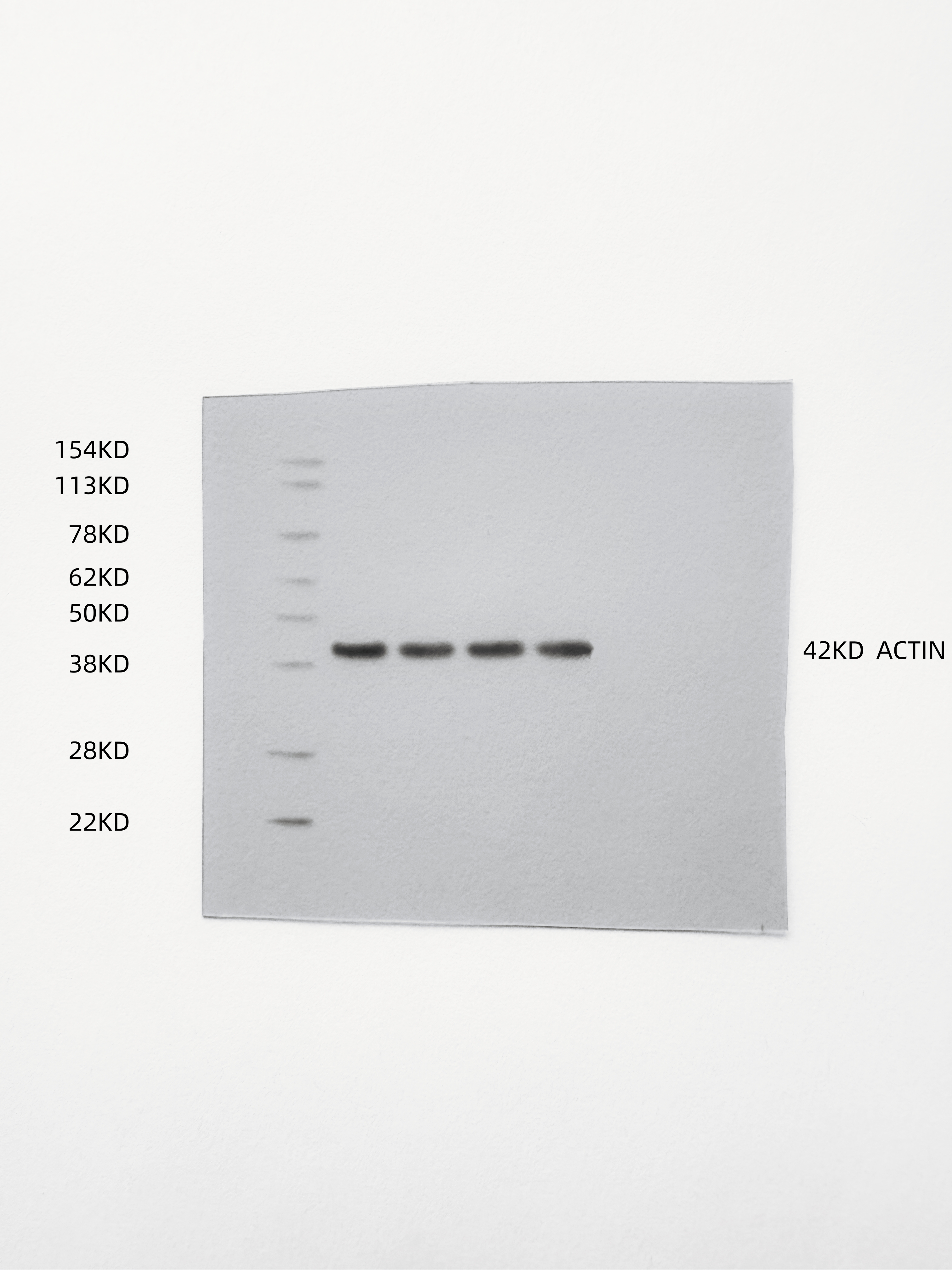 Figure 19