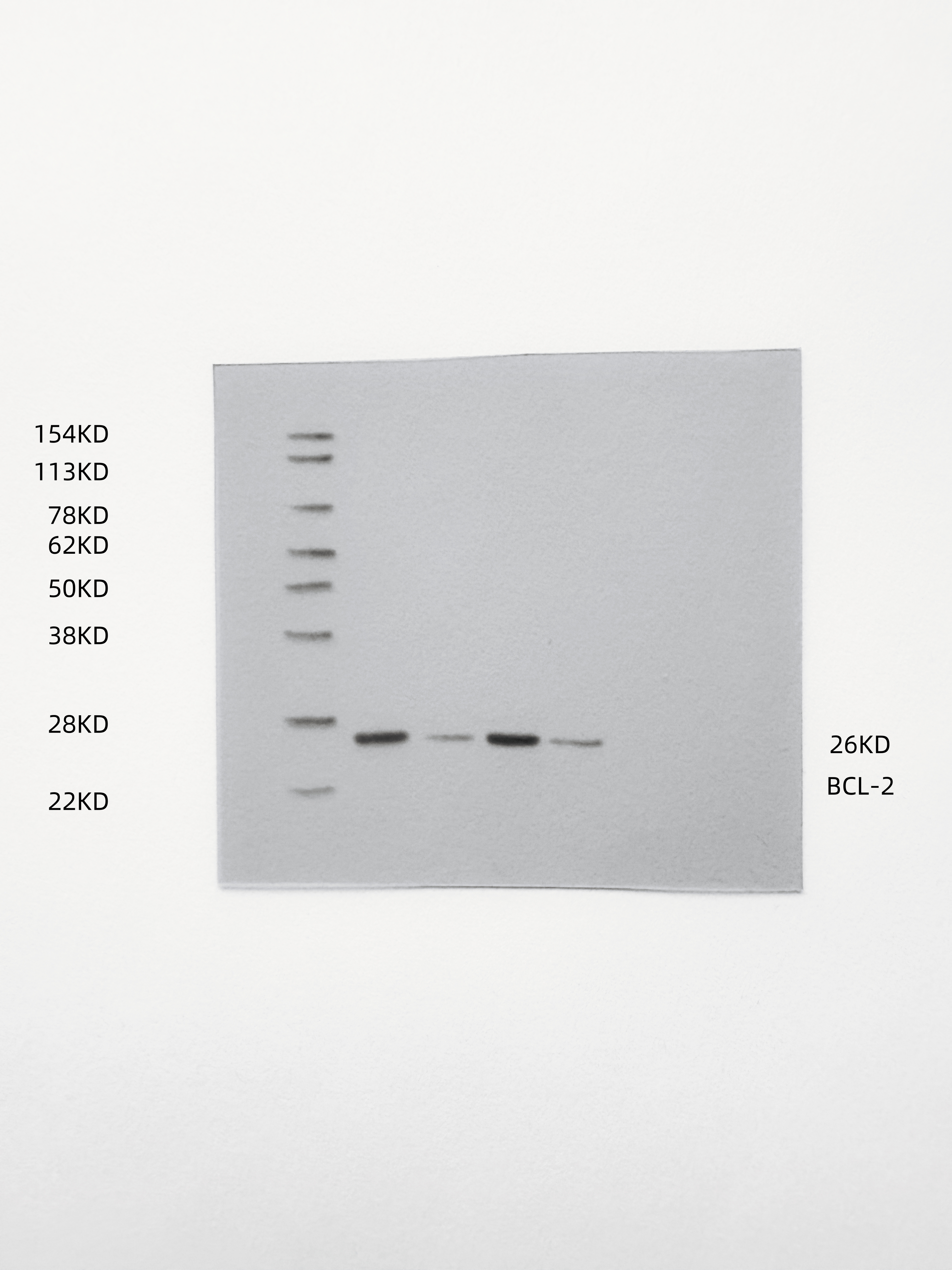 Figure 20