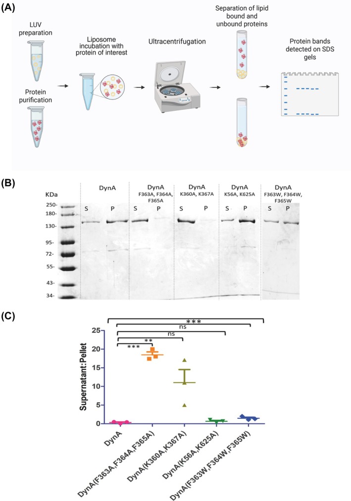Fig. 3