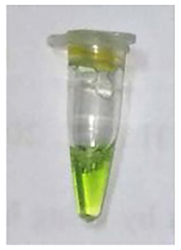 Figure 9