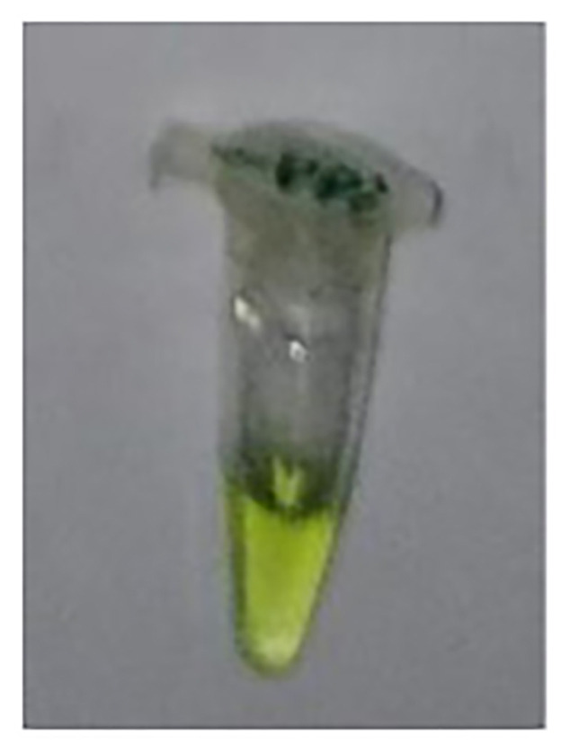 Figure 10