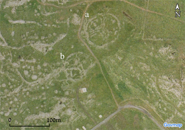 Figure 8