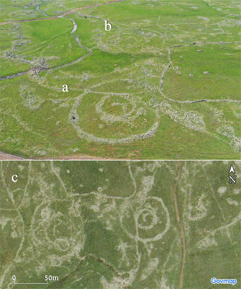 Figure 10