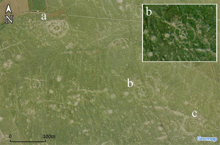 Figure 11