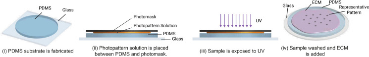 Figure 28