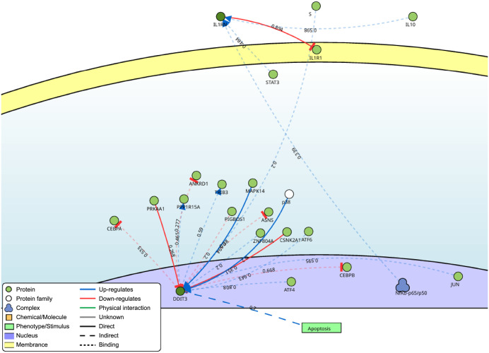 Figure 9