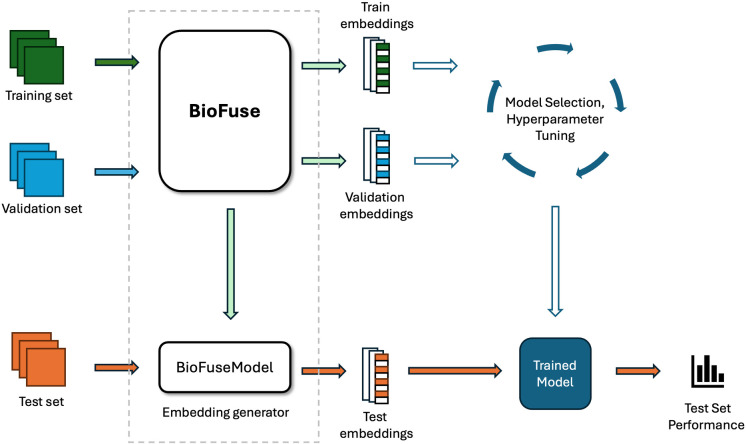 Figure 22
