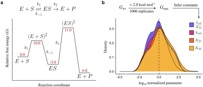 Figure 19