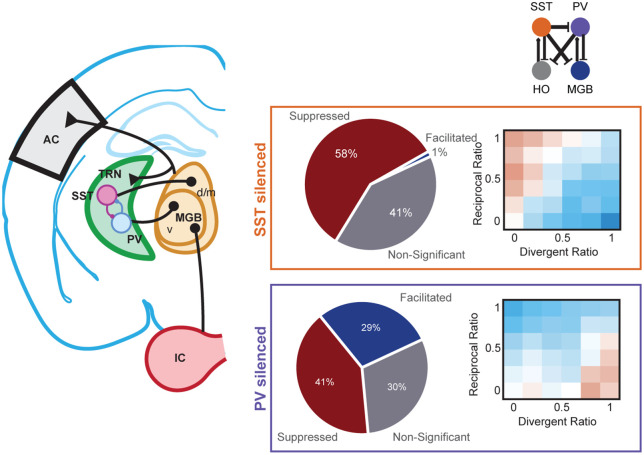 Figure 21