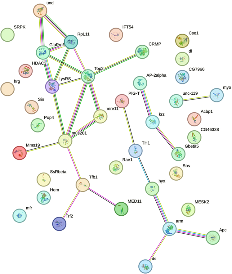 Figure 7
