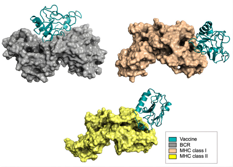 Figure 7