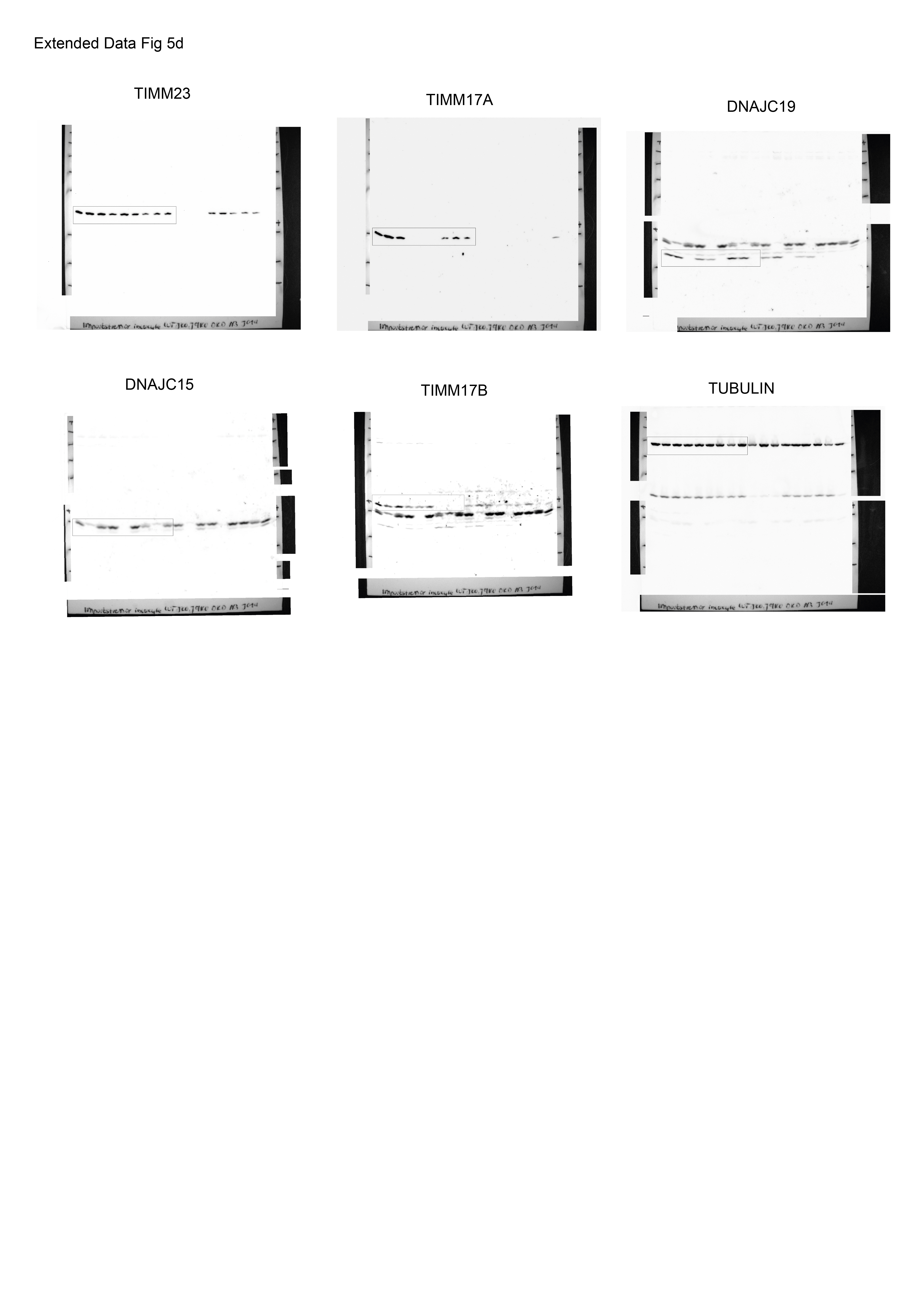 Figure 20