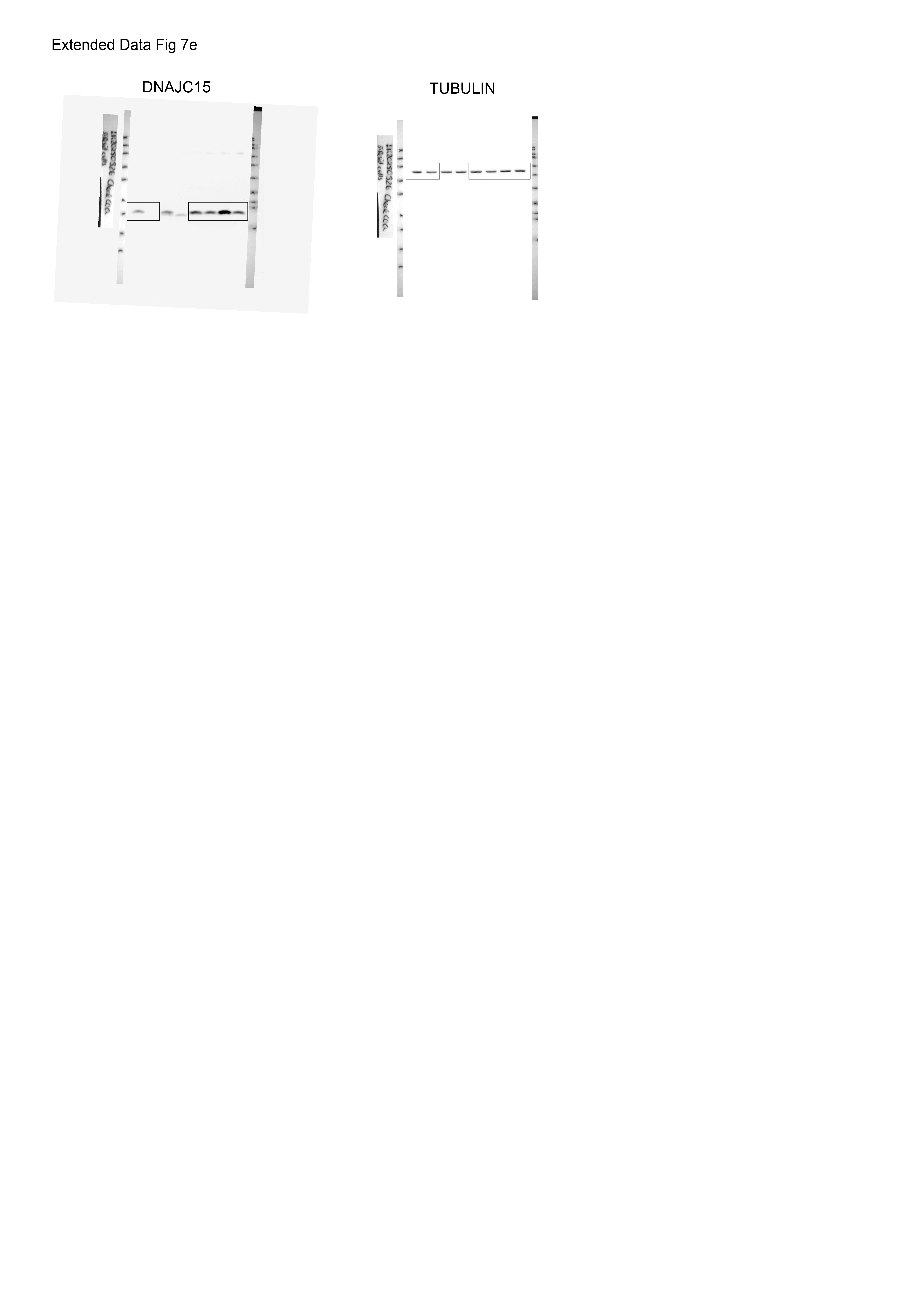 Figure 21