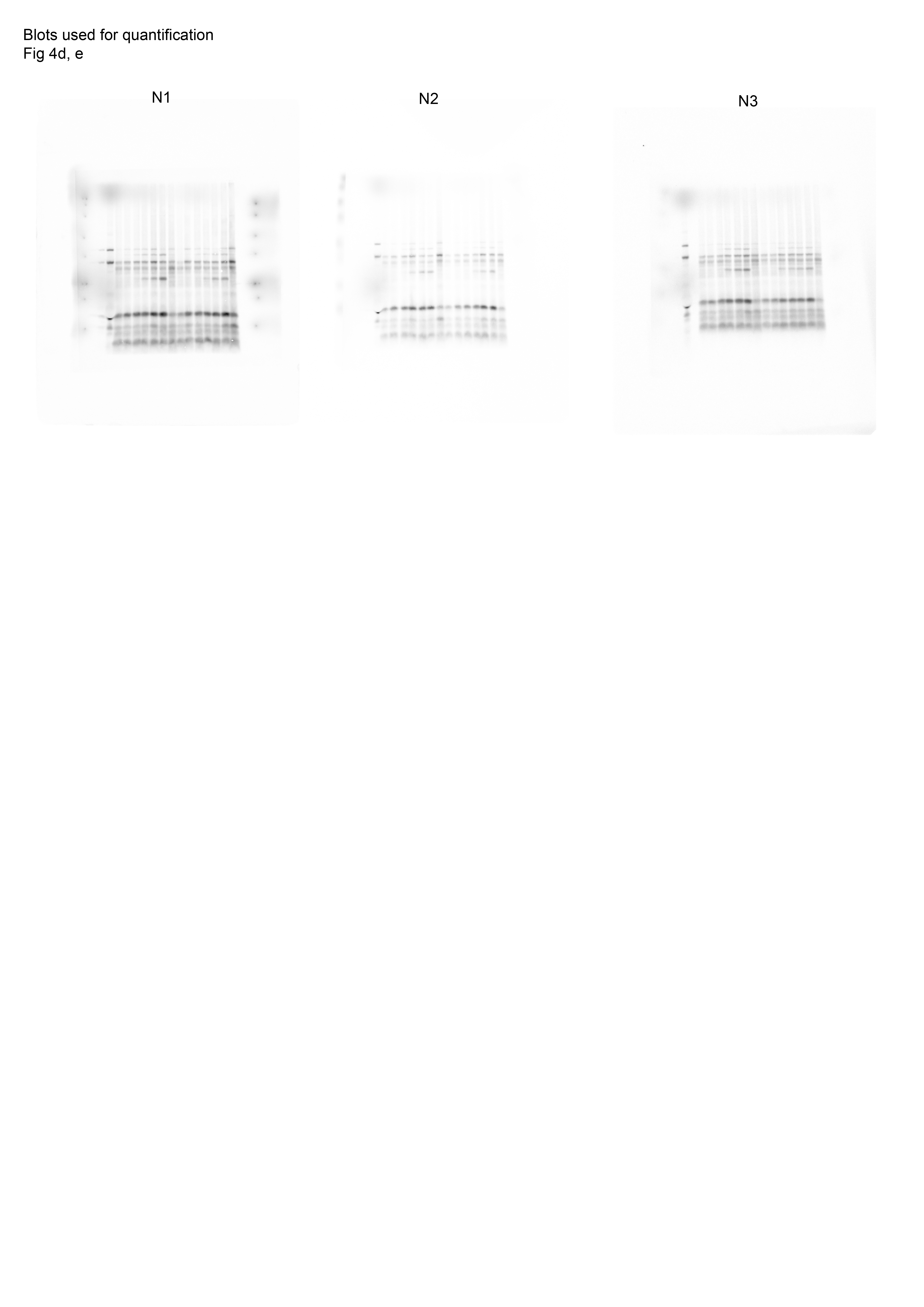 Figure 24