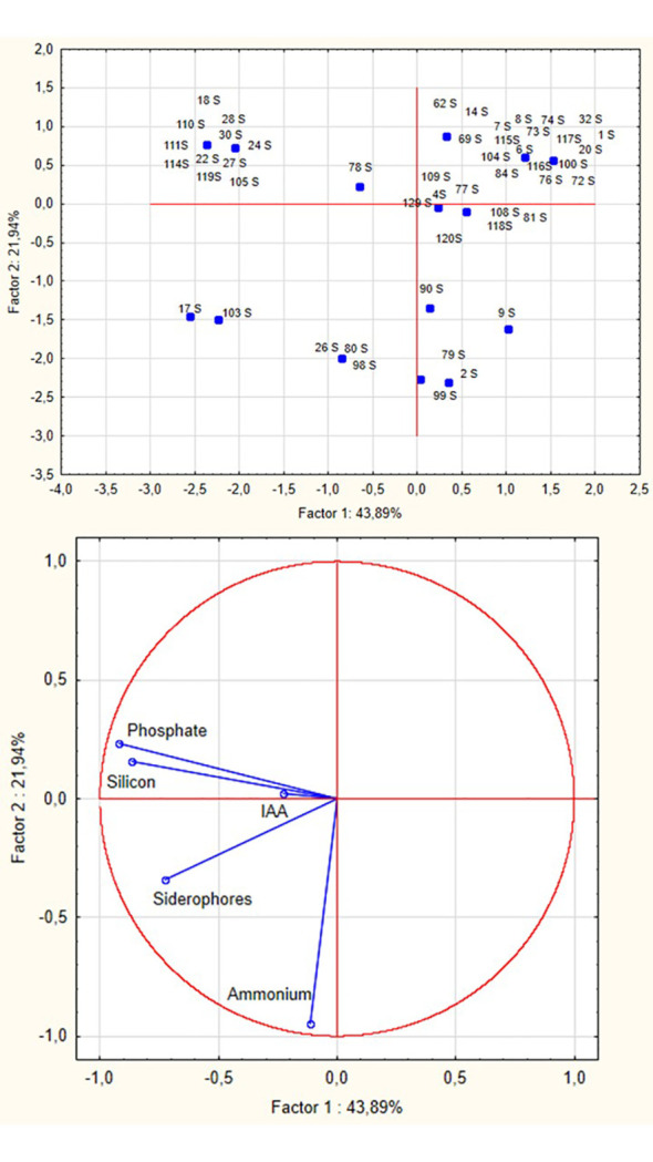 Figure 6
